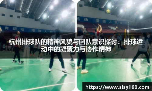mk体育官网