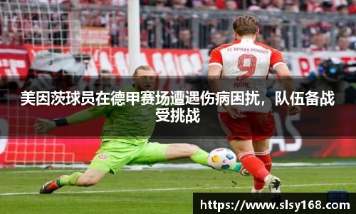 mk体育官网